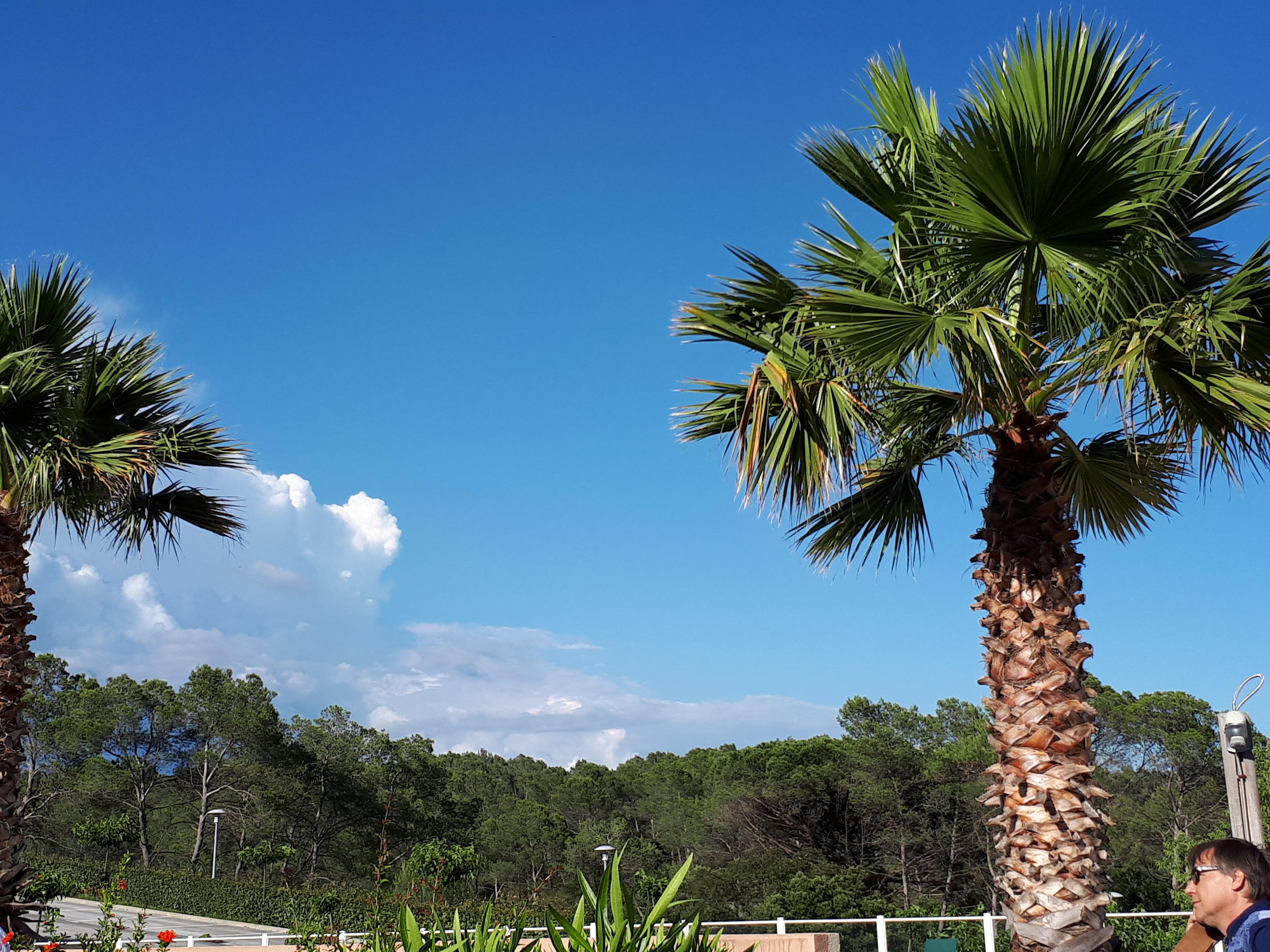 Les Parasols D'Argens Roquebrune-sur Argens Exterior foto