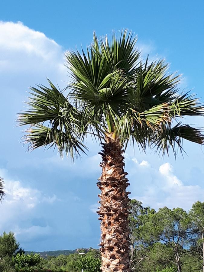 Les Parasols D'Argens Roquebrune-sur Argens Exterior foto